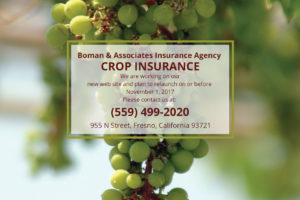 Boman & Associates | Crop Insurance