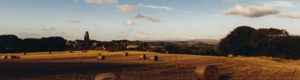 Bales of Hay