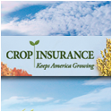 Crop Insurance in America