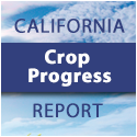 California Crop Progress Report