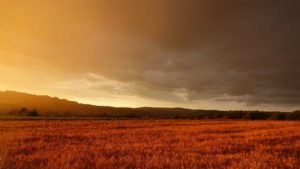 Sunset and Pasture | Boman & Associates | Crop Insurance